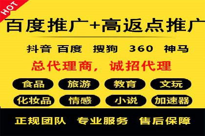 成功SEM竞价托管案例分析报告