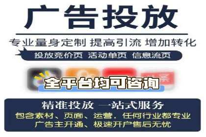 某某SEM团队成功案例：广告投放策略揭秘